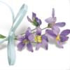 violet1851